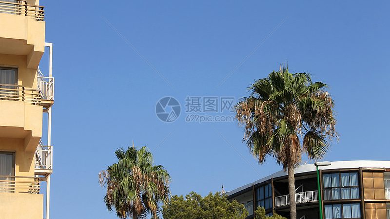 旅游公司VS旅行社区：服务差异与选择指南